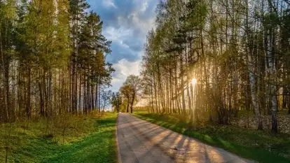 Majowy wieczór z mazurską przyrodą