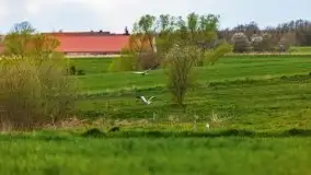 Majowy wieczór z mazurską przyrodą - zdjęcie 31