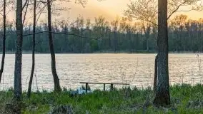 Majowy wieczór z mazurską przyrodą - zdjęcie 26