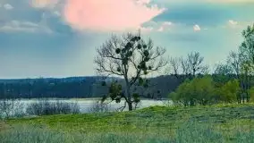 Majowy wieczór z mazurską przyrodą - zdjęcie 18