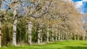 Wiosenne widoki z okolic Sztynortu, maj 2021 - zdjęcie 47