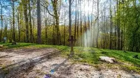 Wiosenne widoki z okolic Sztynortu, maj 2021 - zdjęcie 56