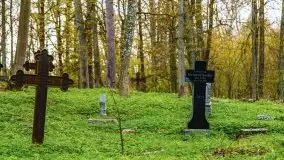 Wiosenne widoki z okolic Sztynortu, maj 2021 - zdjęcie 14