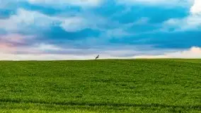 Wiosenne widoki z okolic Sztynortu, maj 2021 - zdjęcie 41