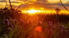 Wiosenne widoki z okolic Sztynortu, maj 2021 - zdjęcie 42