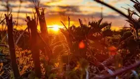 Wiosenne widoki z okolic Sztynortu, maj 2021 - zdjęcie 69