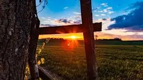 Wiosenne widoki z okolic Sztynortu, maj 2021 - zdjęcie 71