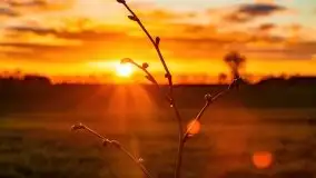 Wiosenne widoki z okolic Sztynortu, maj 2021 - zdjęcie 65