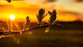 Wiosenne widoki z okolic Sztynortu, maj 2021 - zdjęcie 63