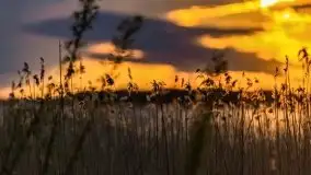 Zachód słońca nad jeziorem Święcajty, maj 2021 - zdjęcie 50