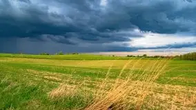 Wiosna na całego na i piękne okoliczności przyrody - zdjęcie 46