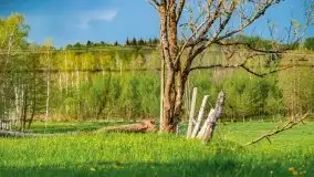 Wiosna na całego na i piękne okoliczności przyrody - zdjęcie 30