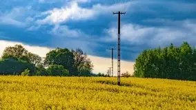 Wiosna na całego na i piękne okoliczności przyrody - zdjęcie 28