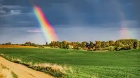 Wiosna na całego na i piękne okoliczności przyrody - zdjęcie 43