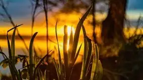 Zachód słońca nad jeziorem Jeziorowskie - zdjęcie 50