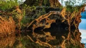 Zachód słońca nad jeziorem Jeziorowskie - zdjęcie 39