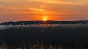 Zachód słońca w porcie Ognisty Ptak, maj 2021 - zdjęcie 26