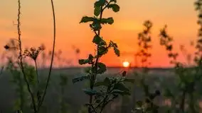 Zachód słońca w porcie Ognisty Ptak, maj 2021 - zdjęcie 22