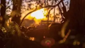 Zachód nad jeziorem Ryńskim, zatoka Mrówcza - zdjęcie 20