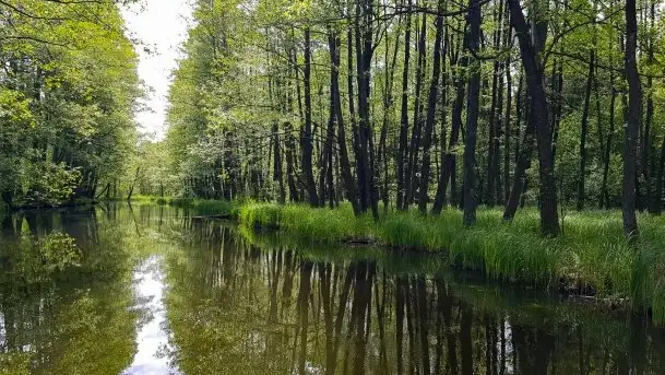 Zdjęcia: Z cyklu "niezapomniane wyprawy" - Pętla Sapiny - zdjęcie 11