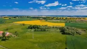 Mazurskie złote, piękne, rzepakowe pola - zdjęcie 33