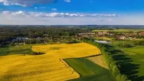 Mazurskie złote, piękne, rzepakowe pola - zdjęcie 13