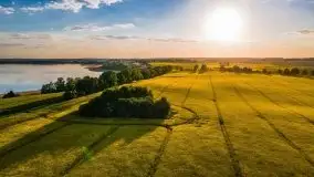 Mazurskie złote, piękne, rzepakowe pola - zdjęcie 7