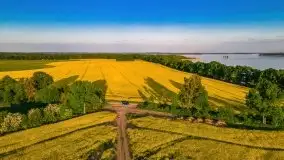 Mazurskie złote, piękne, rzepakowe pola - zdjęcie 35