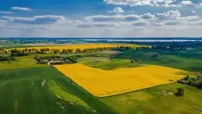 Mazurskie złote, piękne, rzepakowe pola - zdjęcie 65