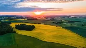 Mazurskie złote, piękne, rzepakowe pola - zdjęcie 60