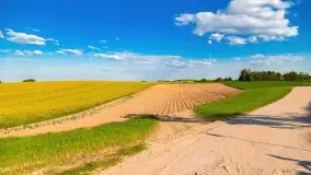 Mazurskie złote, piękne, rzepakowe pola - zdjęcie 76