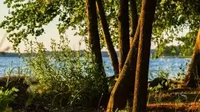 Zachód słońca nad jeziorem Dargin, Poganty - zdjęcie 35