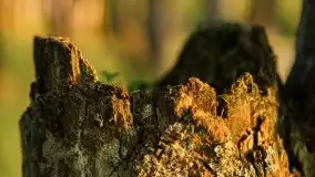 Zachód słońca nad jeziorem Dargin, Poganty - zdjęcie 22