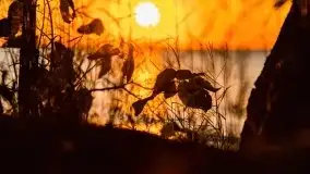 Zachód słońca nad jeziorem Dargin, Poganty - zdjęcie 13