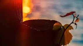 Zachód słońca nad jeziorem Dargin, Poganty - zdjęcie 34