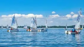 Regaty o Puchar Trzech Ryb w klasie Optimist - fotorelacja - zdjęcie 13