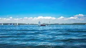 Regaty o Puchar Trzech Ryb w klasie Optimist - fotorelacja - zdjęcie 34