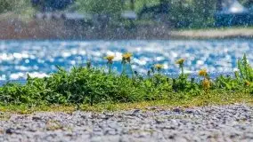 Podsumowanie wiosny 2021, zdjęcia z wielu miejsc - zdjęcie 93