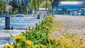 Podsumowanie wiosny 2021, zdjęcia z wielu miejsc - zdjęcie 59