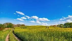 Podsumowanie wiosny 2021, zdjęcia z wielu miejsc - zdjęcie 108