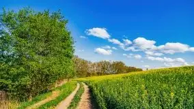 Podsumowanie wiosny 2021, zdjęcia z wielu miejsc - zdjęcie 109