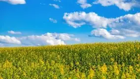 Podsumowanie wiosny 2021, zdjęcia z wielu miejsc - zdjęcie 67