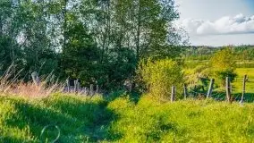 Podsumowanie wiosny 2021, zdjęcia z wielu miejsc - zdjęcie 76