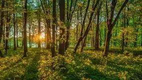 Podsumowanie wiosny 2021, zdjęcia z wielu miejsc - zdjęcie 128