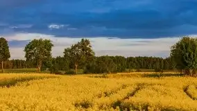 Podsumowanie wiosny 2021, zdjęcia z wielu miejsc - zdjęcie 98