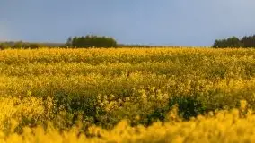 Podsumowanie wiosny 2021, zdjęcia z wielu miejsc - zdjęcie 104