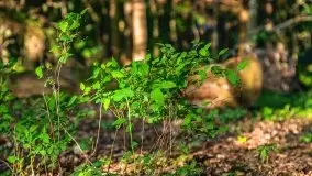 Podsumowanie wiosny 2021, zdjęcia z wielu miejsc - zdjęcie 43