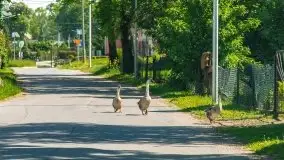 Podsumowanie wiosny 2021, zdjęcia z wielu miejsc - zdjęcie 102