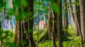 Podsumowanie wiosny 2021, zdjęcia z wielu miejsc - zdjęcie 116