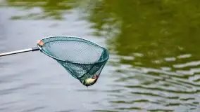 Majowe zawody wędkarskie nad kanałem mazurskim - zdjęcie 107